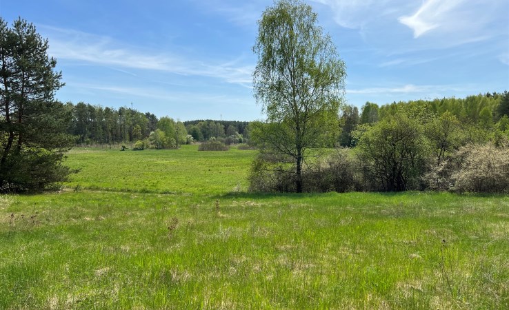 działka na sprzedaż - Dobiegniew, Stare Osieczno